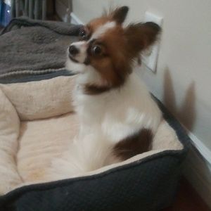 Meet your Posher, Jocelyn